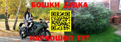 соль ск Лесосибирск