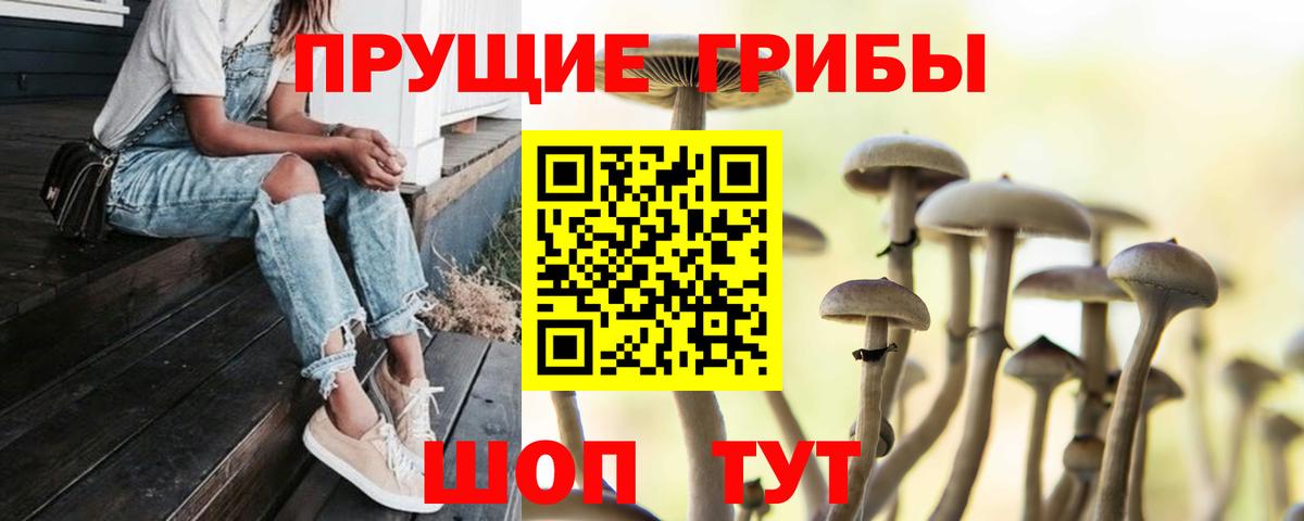 Галлюциногенные грибы прущие грибы Чехов