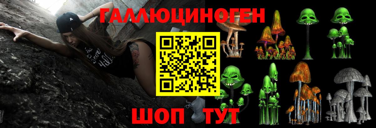 Псилоцибиновые грибы MAGIC MUSHROOMS  Псилоцибиновые грибы ЛСД  Вход с VPN  Чехов 